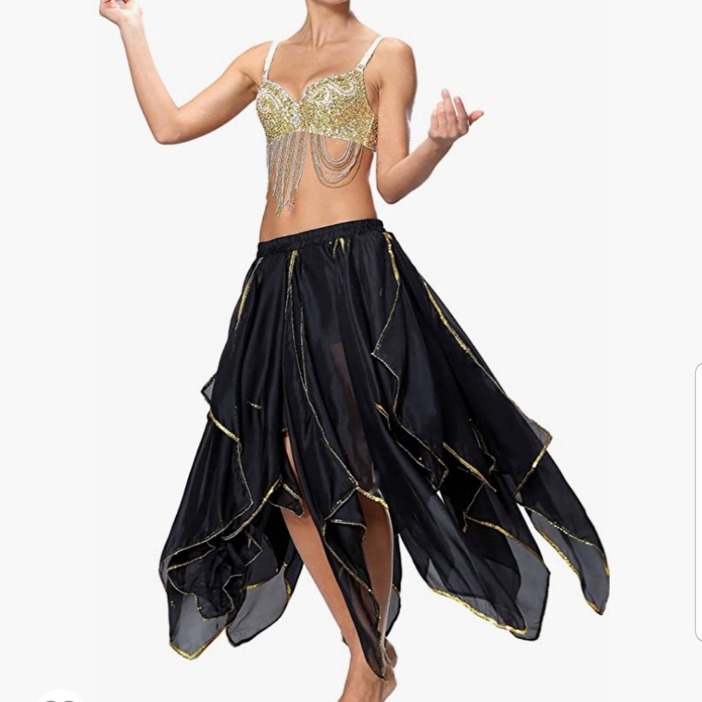 Belly Dance Skirt - image 3